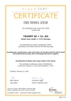 Certificare conform DIN EN ISO 50001