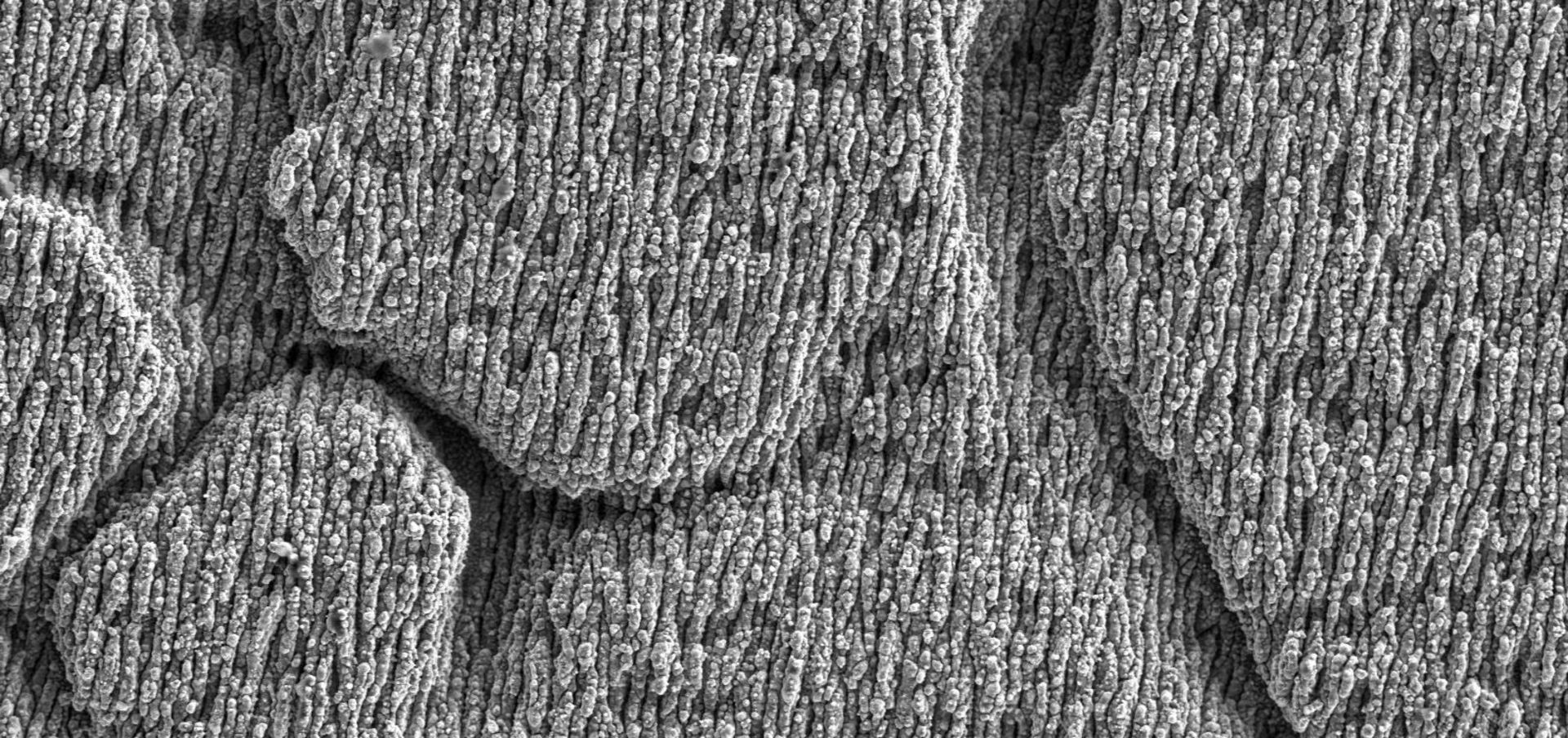 Close-up of the surface structure of black marking